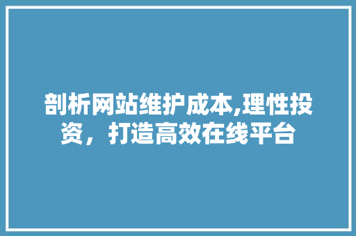 剖析网站维护成本,理性投资，打造高效在线平台