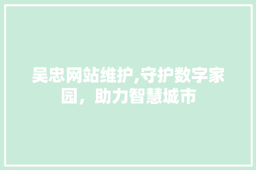 吴忠网站维护,守护数字家园，助力智慧城市