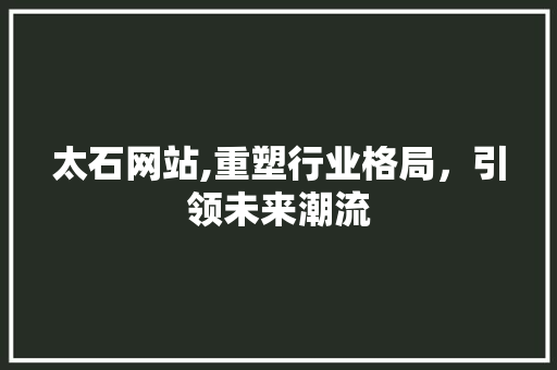 太石网站,重塑行业格局，引领未来潮流