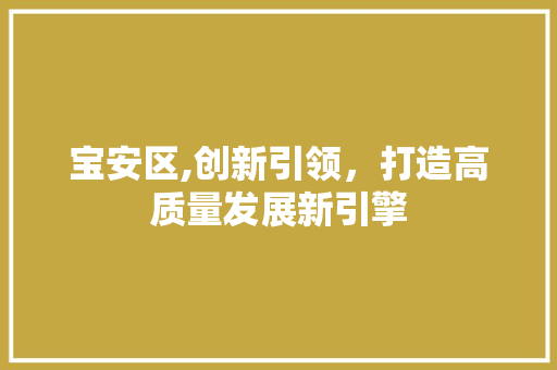 宝安区,创新引领，打造高质量发展新引擎