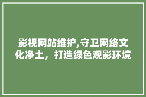 影视网站维护,守卫网络文化净土，打造绿色观影环境