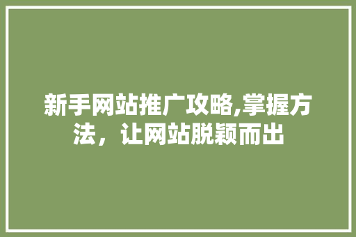 新手网站推广攻略,掌握方法，让网站脱颖而出