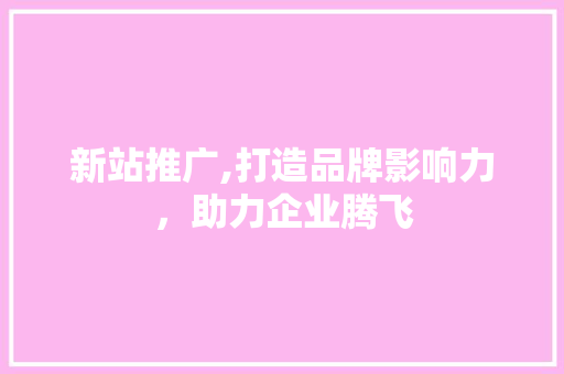 新站推广,打造品牌影响力，助力企业腾飞
