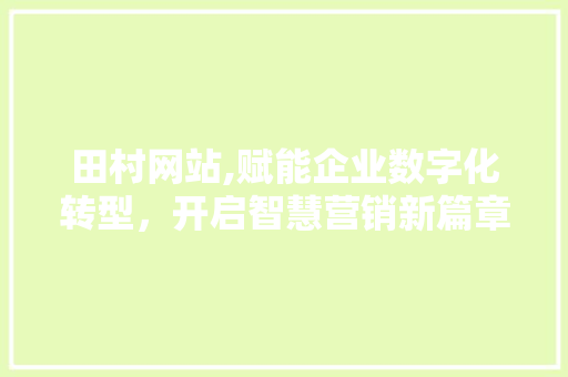 田村网站,赋能企业数字化转型，开启智慧营销新篇章