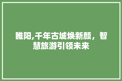 睢阳,千年古城焕新颜，智慧旅游引领未来