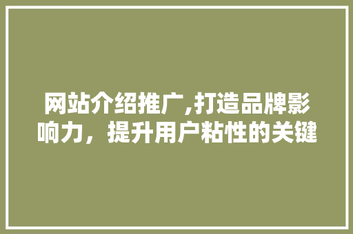 网站介绍推广,打造品牌影响力，提升用户粘性的关键步骤