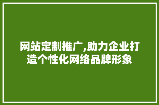 网站定制推广,助力企业打造个性化网络品牌形象