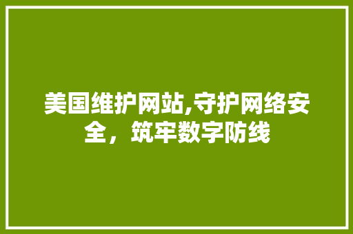 美国维护网站,守护网络安全，筑牢数字防线