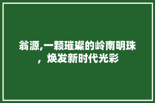 翁源,一颗璀璨的岭南明珠，焕发新时代光彩