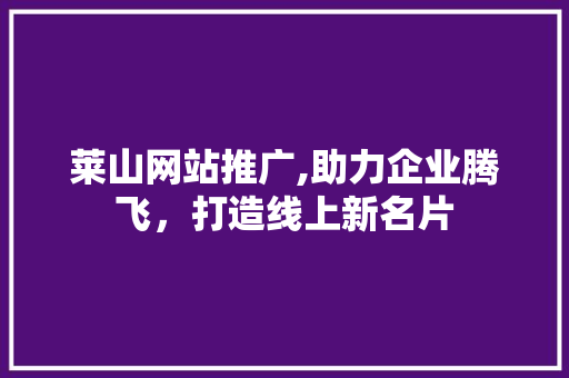 莱山网站推广,助力企业腾飞，打造线上新名片