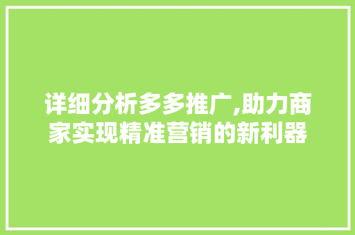 详细分析多多推广,助力商家实现精准营销的新利器