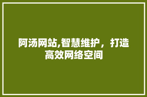 阿汤网站,智慧维护，打造高效网络空间