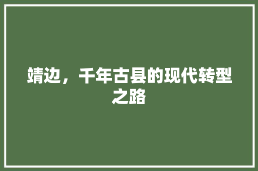 靖边，千年古县的现代转型之路