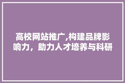高校网站推广,构建品牌影响力，助力人才培养与科研发展