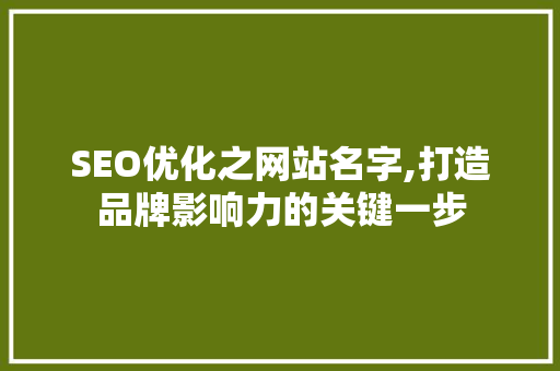 SEO优化之网站名字,打造品牌影响力的关键一步