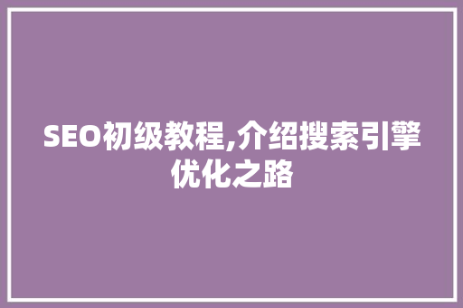 SEO初级教程,介绍搜索引擎优化之路