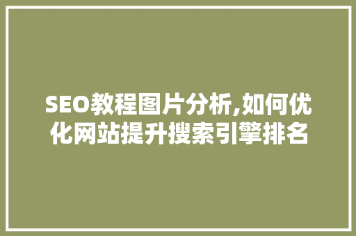 SEO教程图片分析,如何优化网站提升搜索引擎排名
