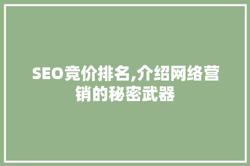 SEO竞价排名,介绍网络营销的秘密武器