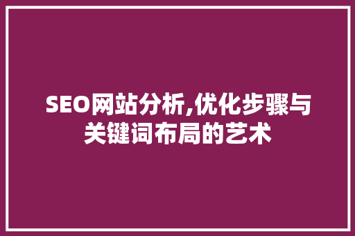 SEO网站分析,优化步骤与关键词布局的艺术