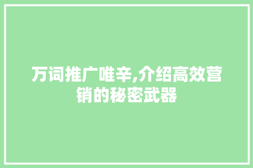万词推广唯辛,介绍高效营销的秘密武器  第1张