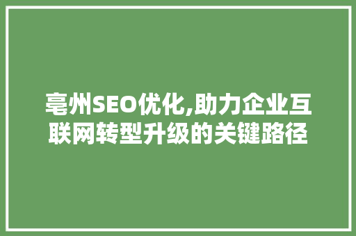 亳州SEO优化,助力企业互联网转型升级的关键路径