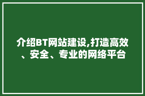 介绍BT网站建设,打造高效、安全、专业的网络平台