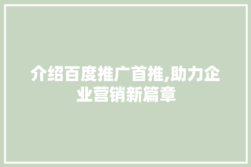 介绍百度推广首推,助力企业营销新篇章