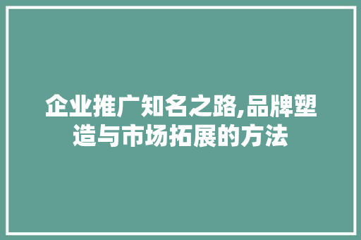 企业推广知名之路,品牌塑造与市场拓展的方法