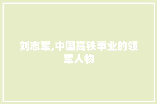 刘志军,中国高铁事业的领军人物  第1张