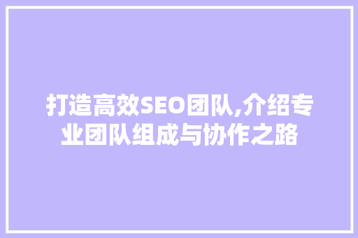打造高效SEO团队,介绍专业团队组成与协作之路