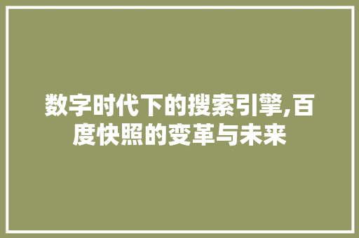数字时代下的搜索引擎,百度快照的变革与未来