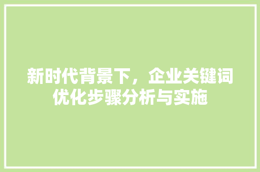 新时代背景下，企业关键词优化步骤分析与实施  第1张