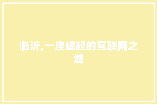 临沂,一座崛起的互联网之城