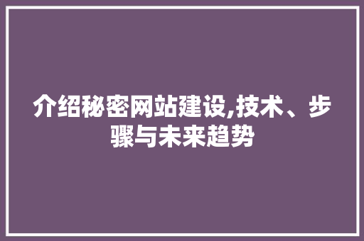 介绍秘密网站建设,技术、步骤与未来趋势