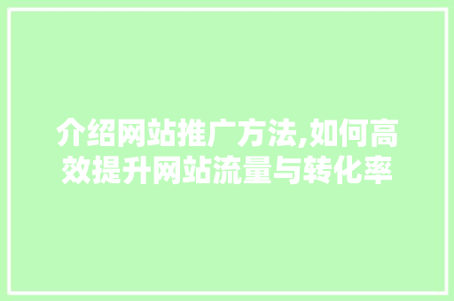 介绍网站推广方法,如何高效提升网站流量与转化率