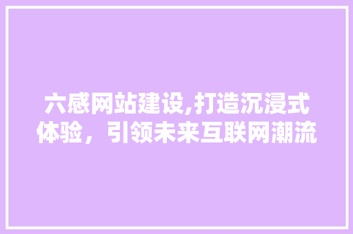 六感网站建设,打造沉浸式体验，引领未来互联网潮流