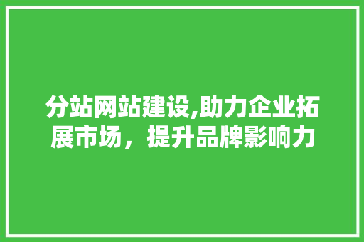 分站网站建设,助力企业拓展市场，提升品牌影响力