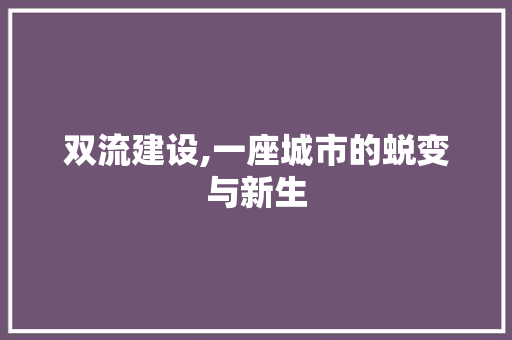 双流建设,一座城市的蜕变与新生  第1张