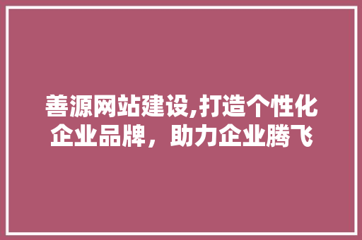 善源网站建设,打造个性化企业品牌，助力企业腾飞