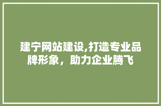 建宁网站建设,打造专业品牌形象，助力企业腾飞