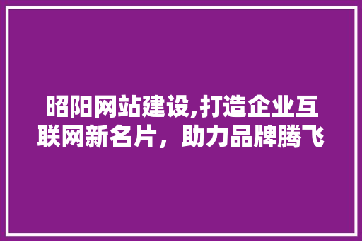 昭阳网站建设,打造企业互联网新名片，助力品牌腾飞