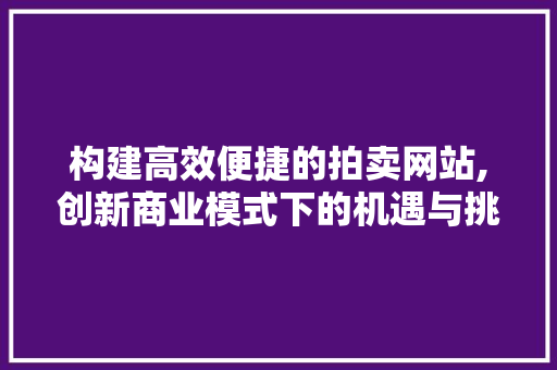 构建高效便捷的拍卖网站,创新商业模式下的机遇与挑战