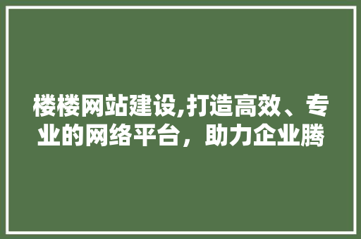 楼楼网站建设,打造高效、专业的网络平台，助力企业腾飞