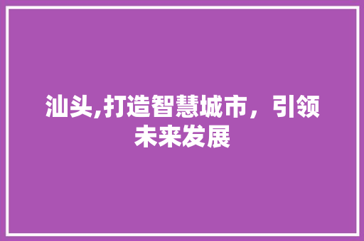汕头,打造智慧城市，引领未来发展