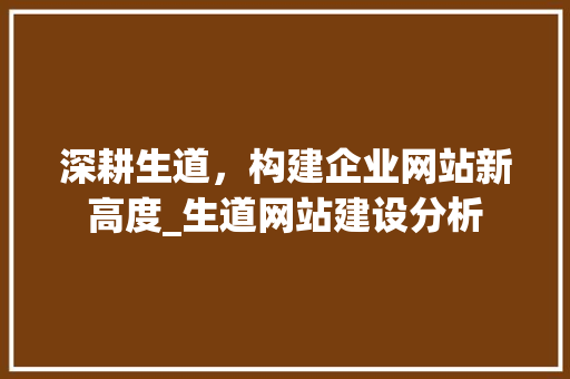 深耕生道，构建企业网站新高度_生道网站建设分析