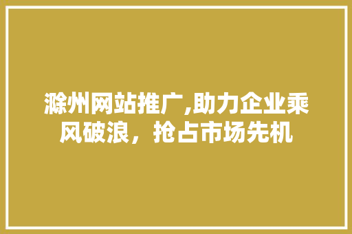 滁州网站推广,助力企业乘风破浪，抢占市场先机
