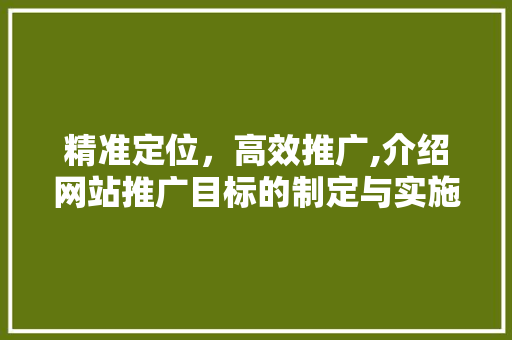 精准定位，高效推广,介绍网站推广目标的制定与实施