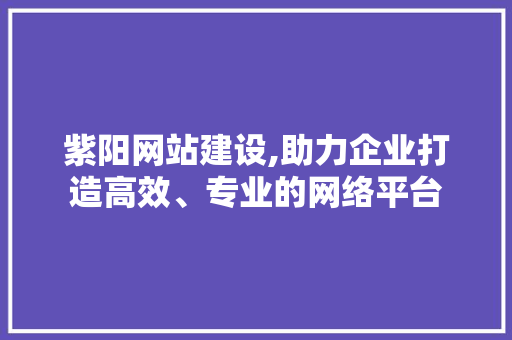 紫阳网站建设,助力企业打造高效、专业的网络平台