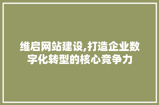 维启网站建设,打造企业数字化转型的核心竞争力