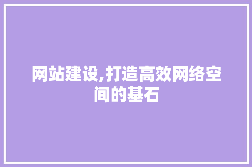 网站建设,打造高效网络空间的基石